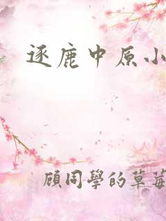 逐鹿中原小说