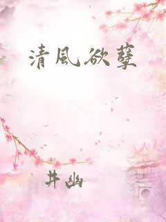 清风欲孽