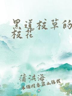 黑道校草的黑道校花