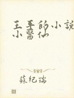 王平的小说乡野小医仙