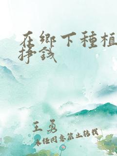 在乡下种植什么挣钱