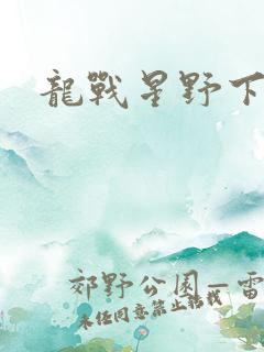 龙战星野下载