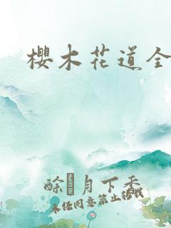 樱木花道全集