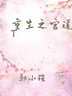 重生之官道TXT