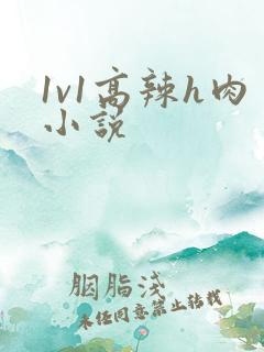 1v1高辣h肉小说