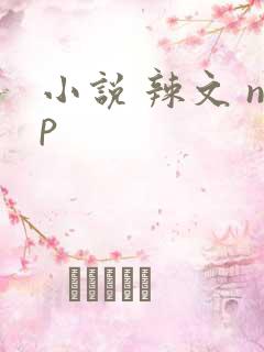 小说 辣文 np