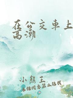 在公交车上做到高潮