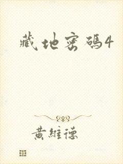 藏地密码4
