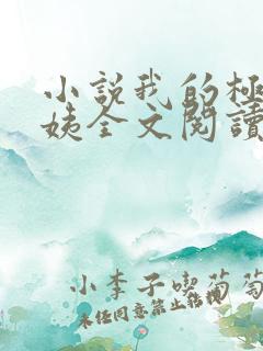 小说我的极品小姨全文阅读
