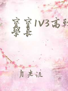 宝宝1V3高干学长
