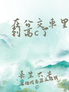 在公交车里c弄到高c了