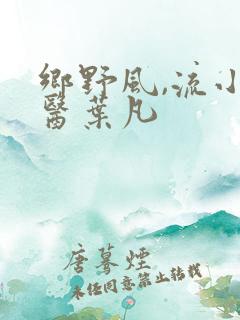 乡野风,流小神医叶凡