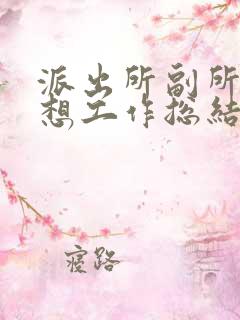 派出所副所长思想工作总结