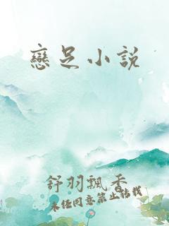 恋足小说
