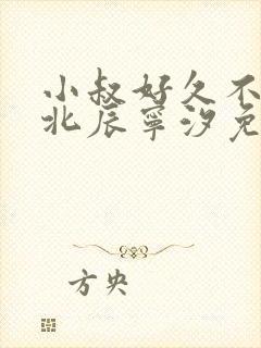 小叔好久不见顾北辰宁汐免费阅读