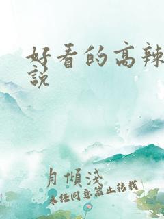 好看的高辣文小说