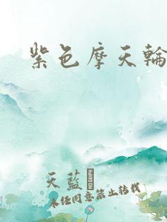 紫色摩天轮