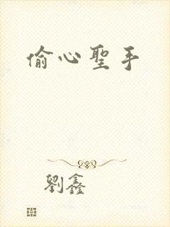 偷心圣手