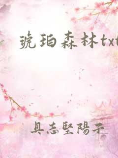 琥珀森林txt