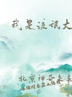 我是流氓大律师