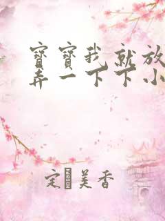 宝宝我就放进去弄一下下小说