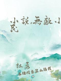 小说,无敌小刁民