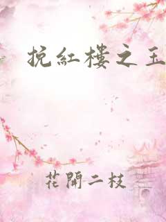 挽红楼之玉亦狂