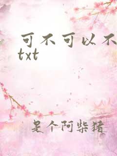 可不可以不嫁人txt