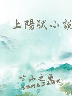 上阳赋小说