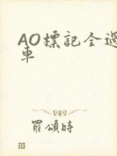 AO标记全过程车