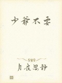少爷不要