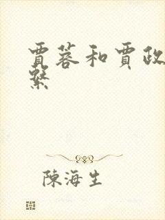 贾蓉和贾政的关系