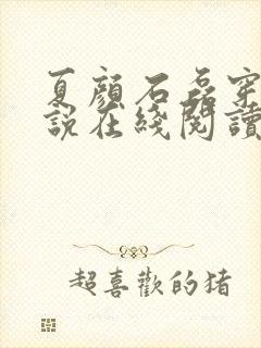 夏颜石磊穿越小说在线阅读