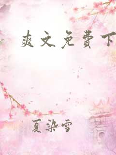 爽文免费下载