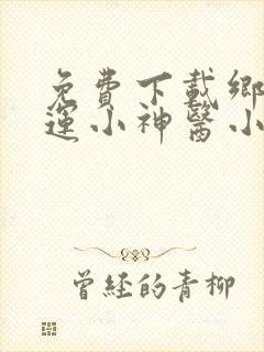 免费下载乡村桃运小神医小说