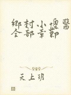 乡村小傻医小说全部章节
