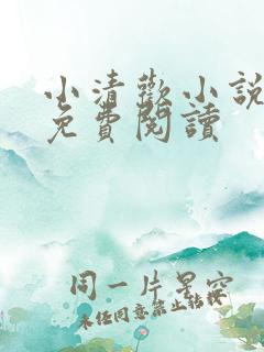 小清欢小说全文免费阅读