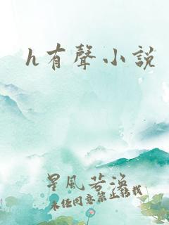 h有声小说