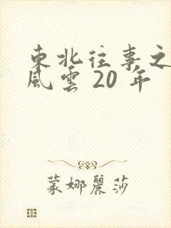 东北往事之黑道风云 20 年