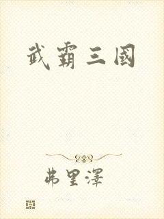 武霸三国