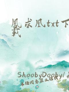 凤求凰txt下载