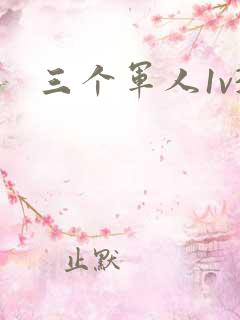 三个军人1v3