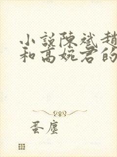 小说陈斌赵心媚和高婉君的小说免费阅读
