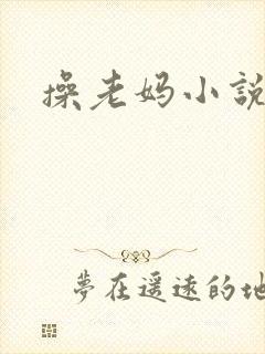 操老妈小说