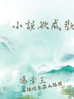 小说欲成欢