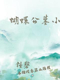蝴蝶公墓小说
