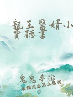 龙王医婿小说免费听书