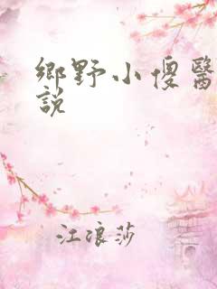 乡野小傻医 小说