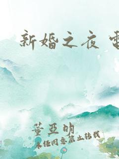 新婚之夜 电影