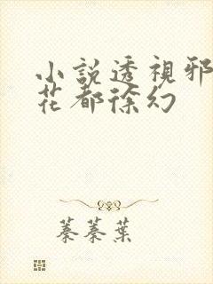 小说透视邪医混花都徐幻